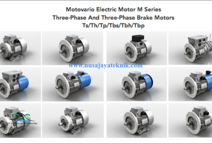 Motovario Electric Motor