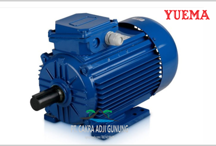 Yuema Electric Motor