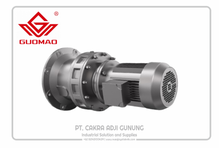 Guomao BLD series Cycloidal Gear Reducer