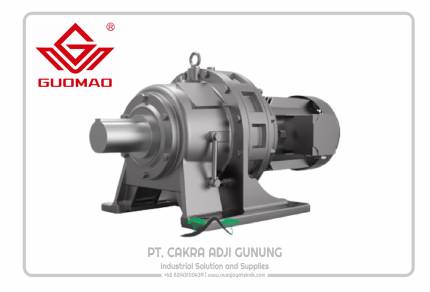 Guomao BWD series Cycloidal Gear Reducer
